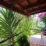 Hraste Hvar フヴァル